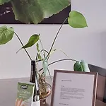 公寓 Premiovy S Privatni Saunou A Terasou V Blizkosti Lipenske Nadrze A Lyzarskeho Strediska 伏尔塔瓦河畔利普诺