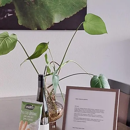 Appartement Premiovy S Privatni Saunou A Terasou V Blizkosti Lipenske Nadrze A Lyzarskeho Strediska Lipno nad Vltavou