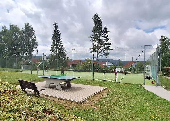Apartment Premiovy S Privatni Saunou A Terasou V Blizkosti Lipenske Nadrze A Lyzarskeho Strediska Lipno nad Vltavou