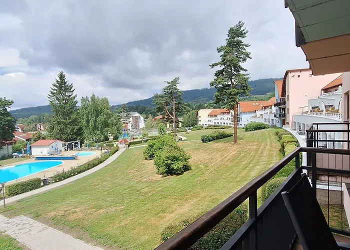 Apartment Premiovy S Privatni Saunou A Terasou V Blizkosti Lipenske Nadrze A Lyzarskeho Strediska
