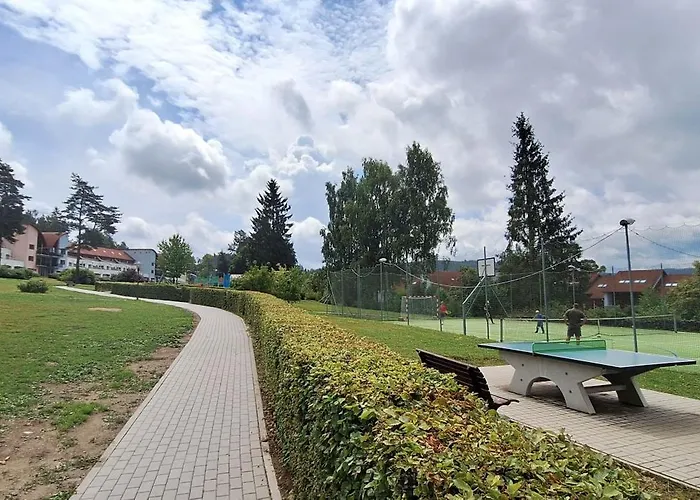 Premiovy S Privatni Saunou A Terasou V Blizkosti Lipenske Nadrze A Lyzarskeho Strediska * Lipno nad Vltavou