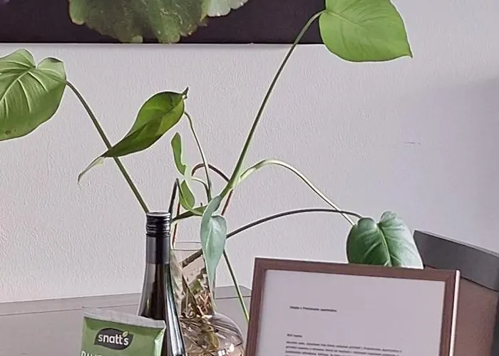 Apartment Premiovy S Privatni Saunou A Terasou V Blizkosti Lipenske Nadrze A Lyzarskeho Strediska Lipno nad Vltavou