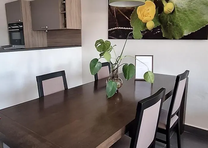 Premiovy S Privatni Saunou A Terasou V Blizkosti Lipenske Nadrze A Lyzarskeho Strediska Apartment
